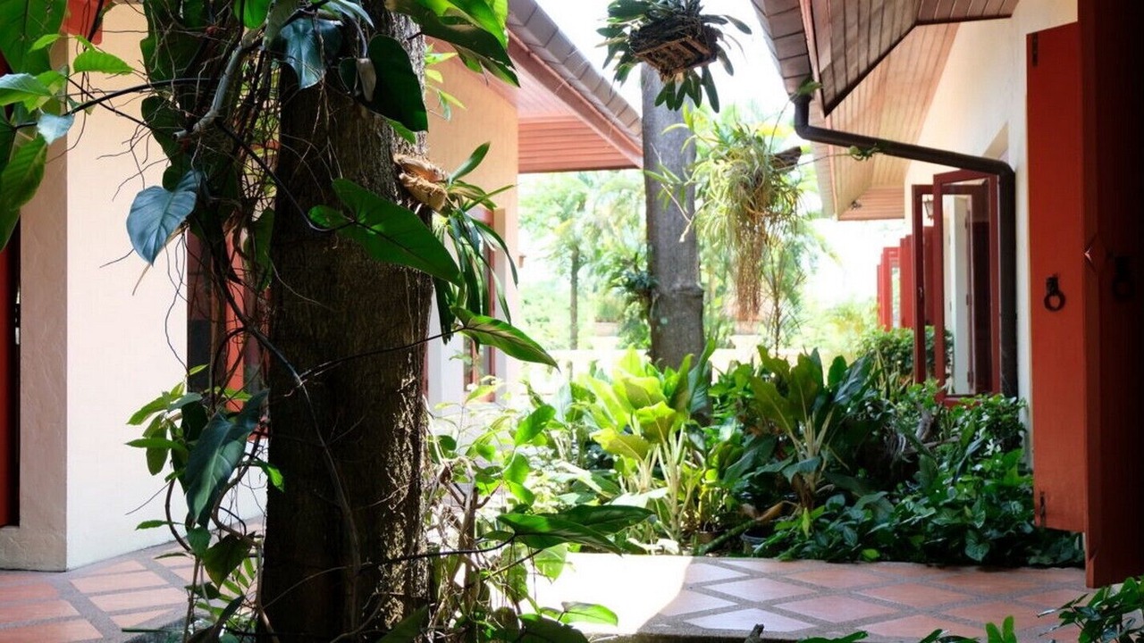 Photo of Outdoor in Saraphi
