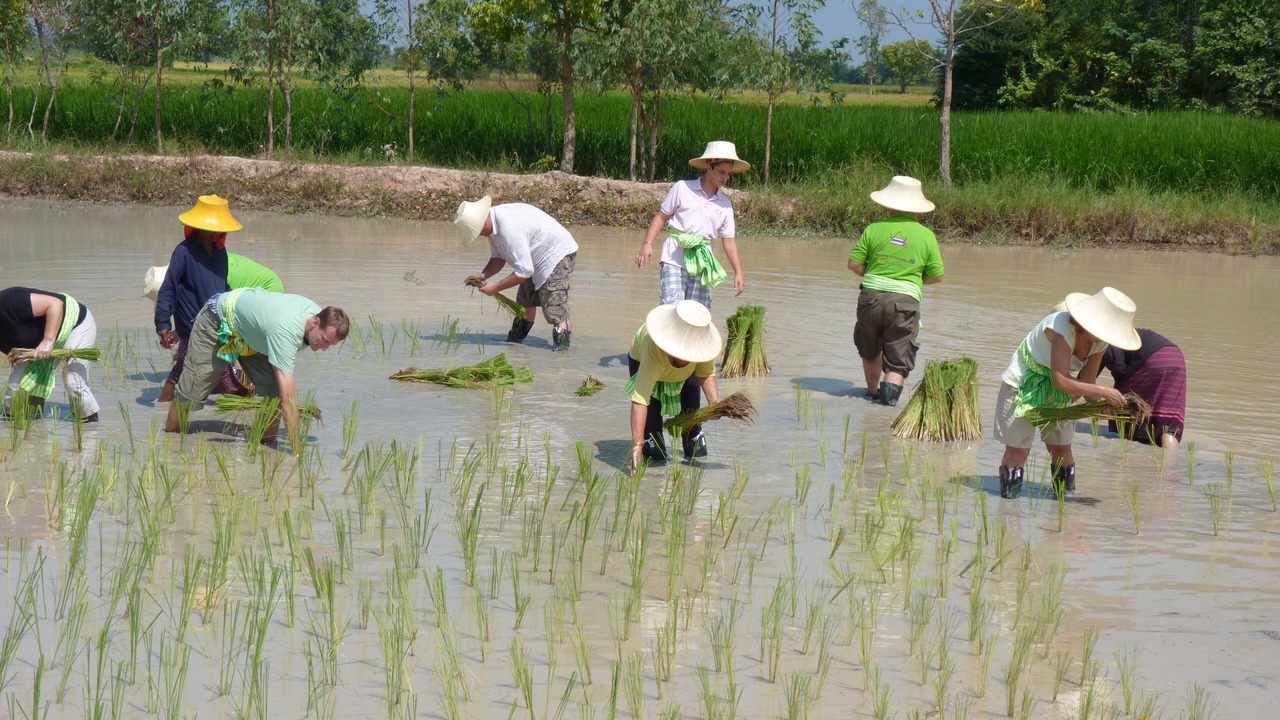 Photo of Others in Kanchanaburi