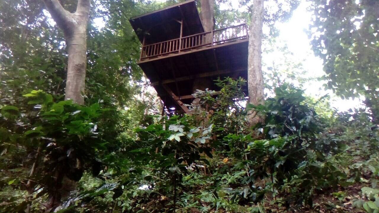 Photo of Outdoor in Mae On