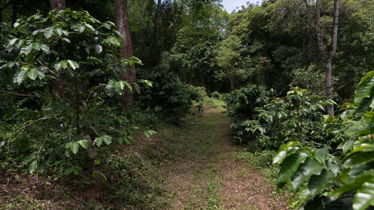 Photo of Outdoor in Mae On