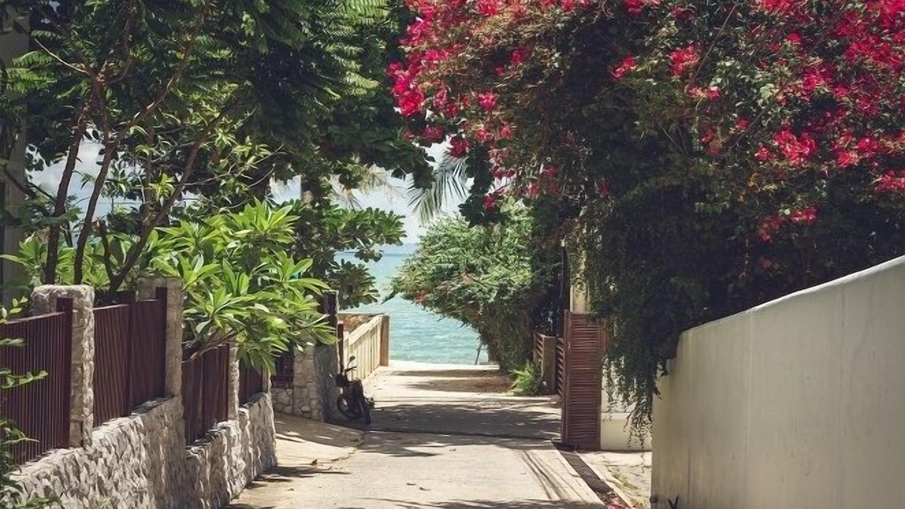 Photo of Others in North Pattaya