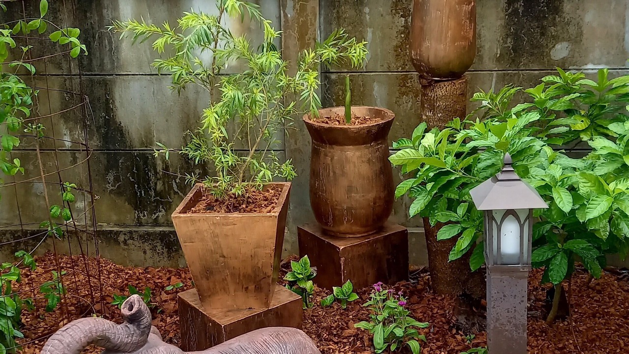 Photo of Outdoor in Nong Thale