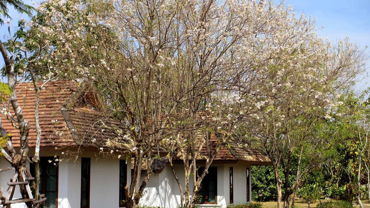 Photo of Outdoor in Choeng Doi