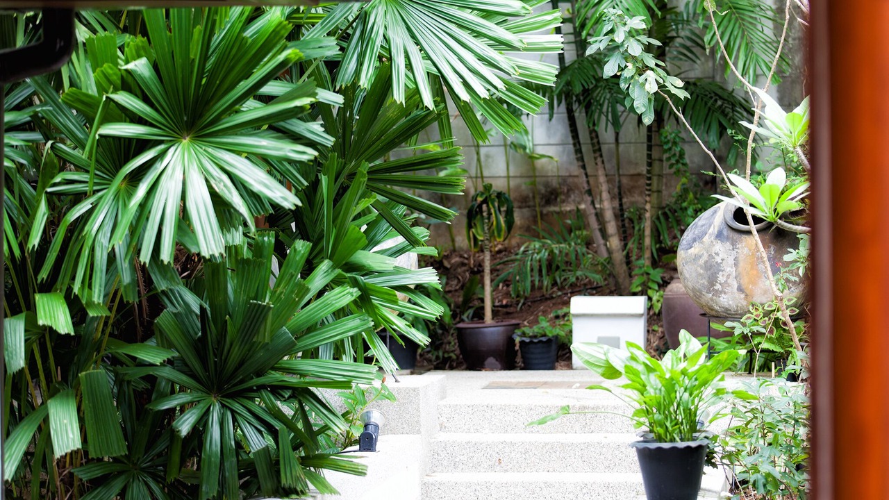 Photo of Outdoor in Cherngtalay