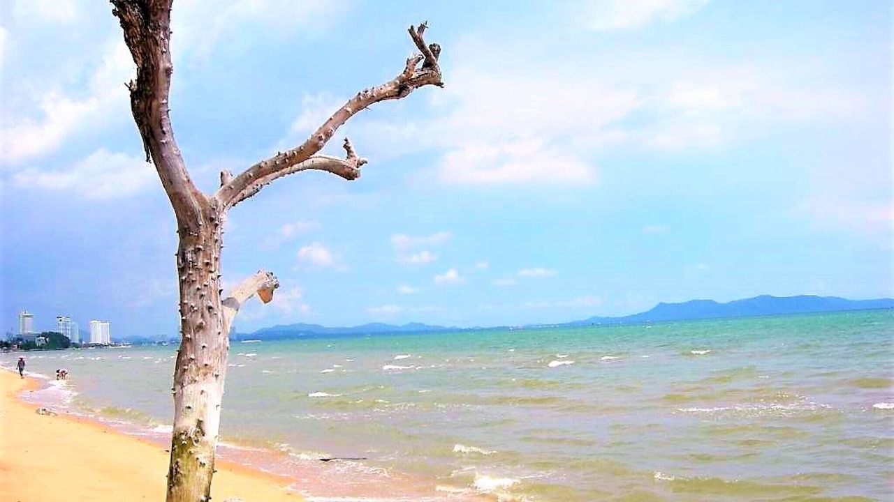 Photo of Others in South Pattaya