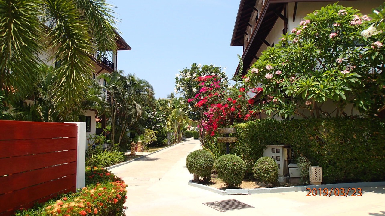 Photo of Others in Ko Lanta