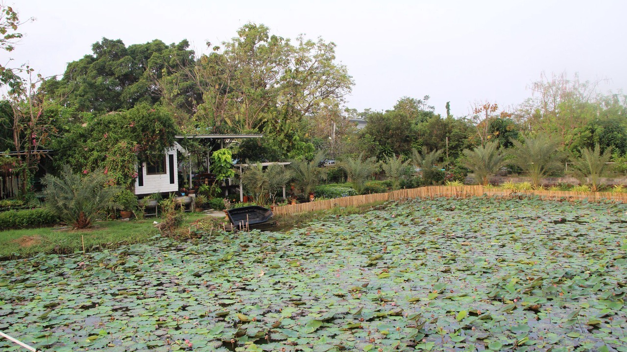 Photo of Outdoor in Bang Chalong