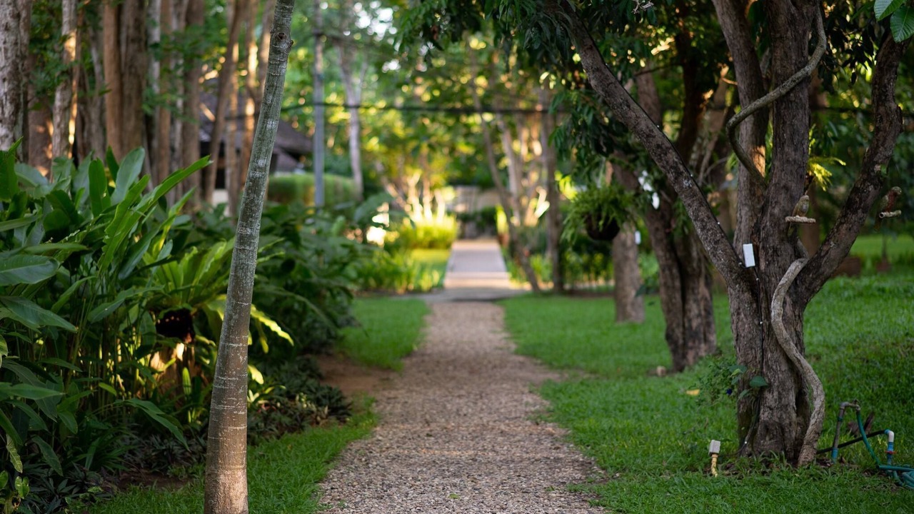 Photo of Outdoor in Nong Kwai