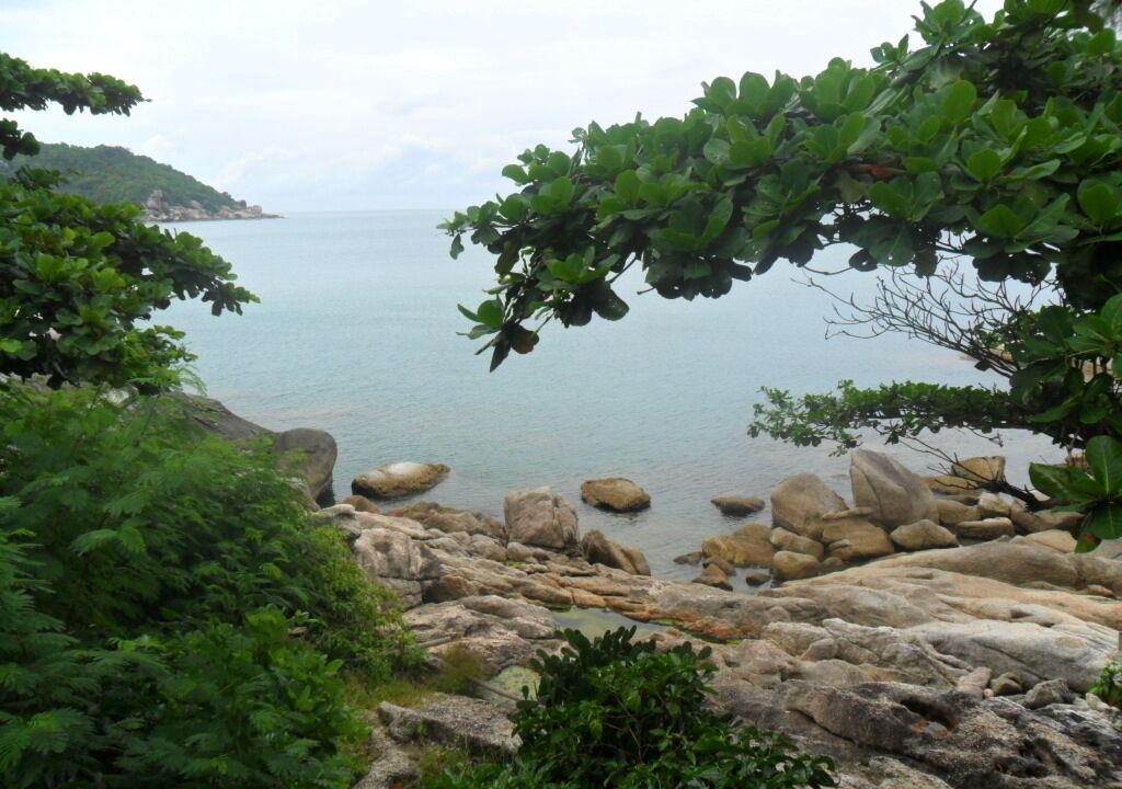 Photo of Others in Baan Tai