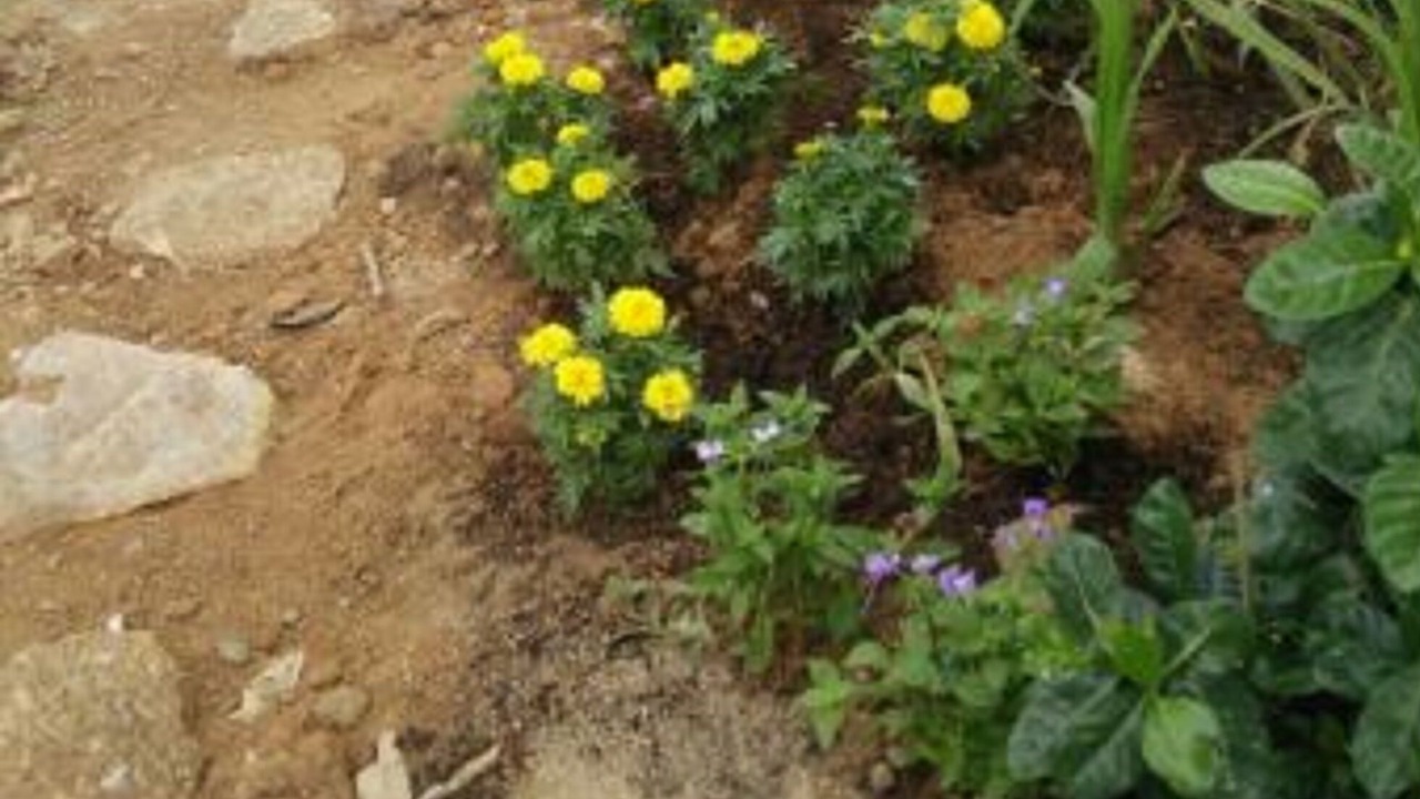 Photo of Outdoor in Bophut