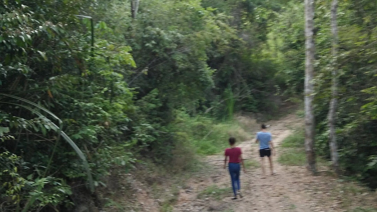 Photo of Others in Bophut
