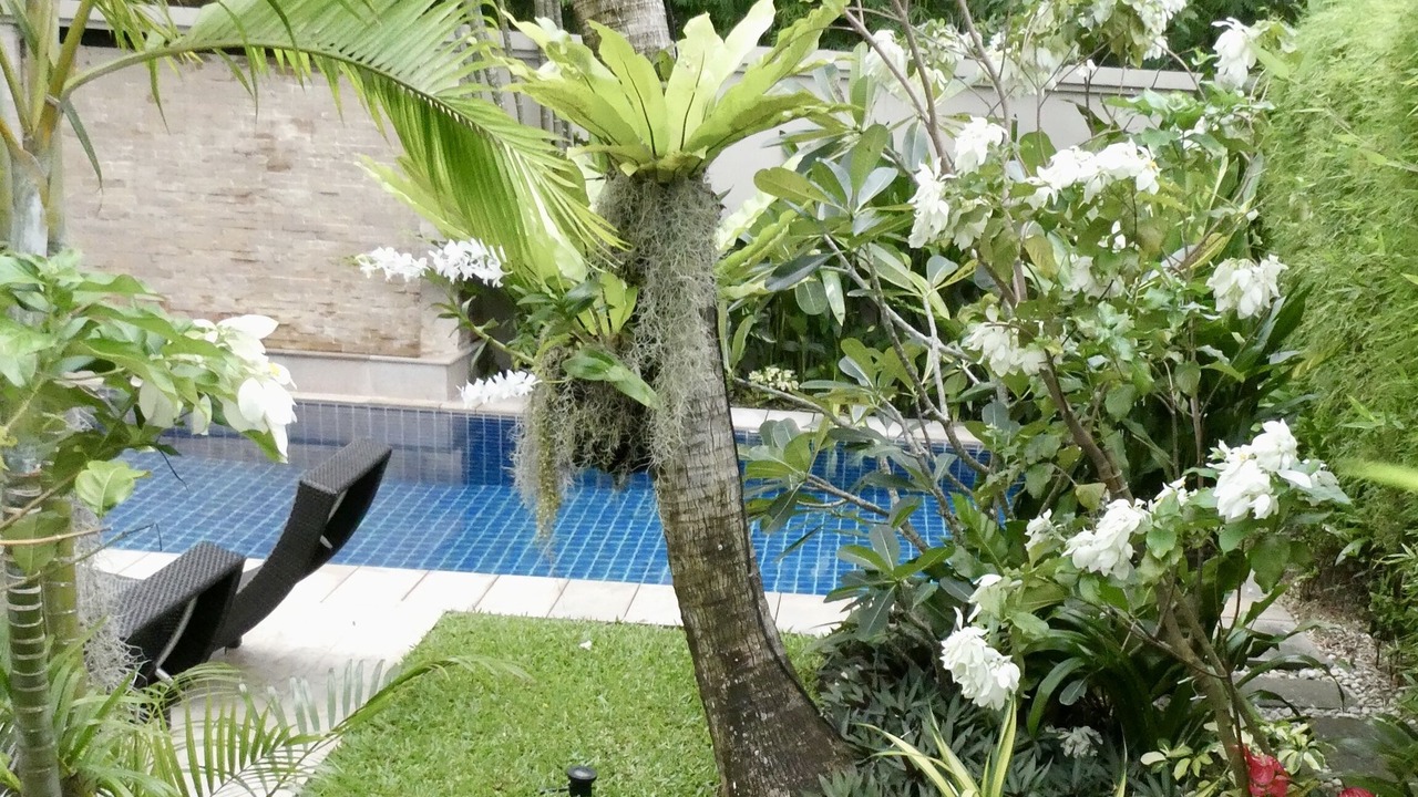 Photo of Outdoor in Cherngtalay