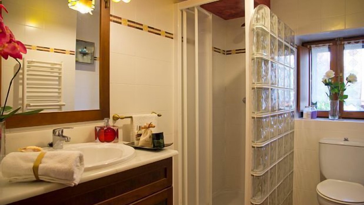 Photo of Bathroom in Amescoa Baja