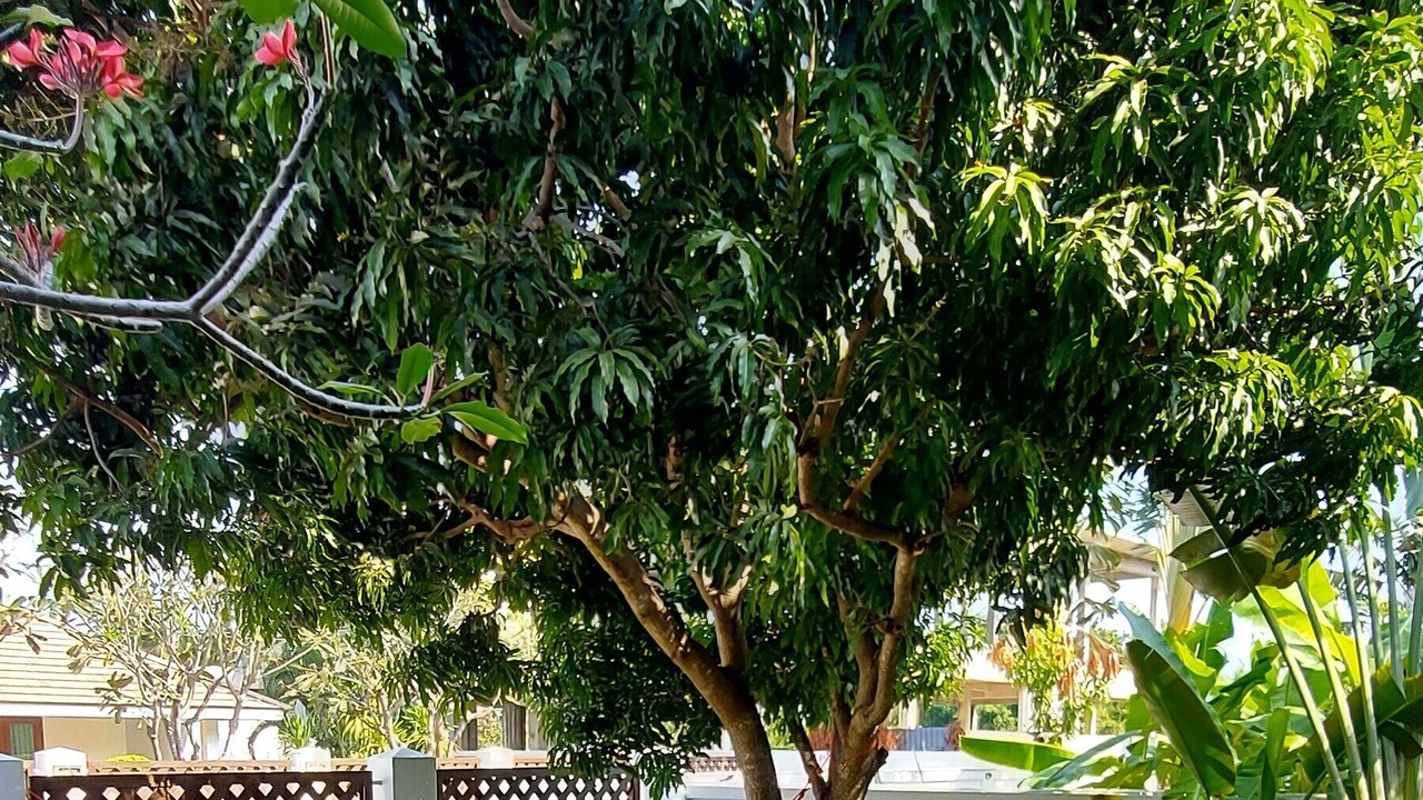 Photo of Outdoor in Sam Roi Yot