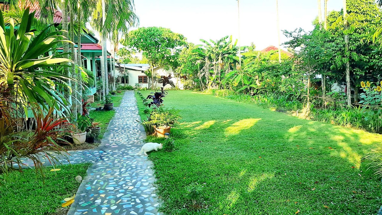 Photo of Outdoor in Ao Nang