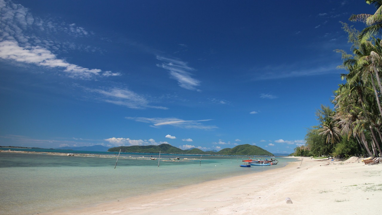 Photo of Others in Thong Krut