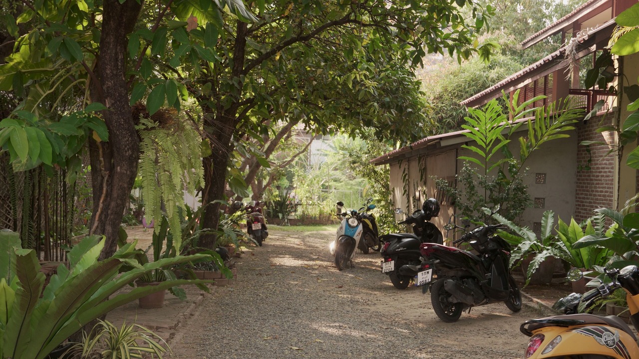 Photo of Outdoor in Chang Phueak
