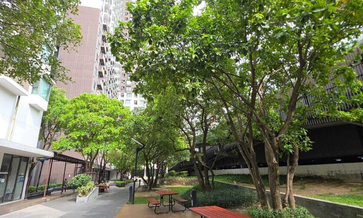Photo of Outdoor in Suan Luang