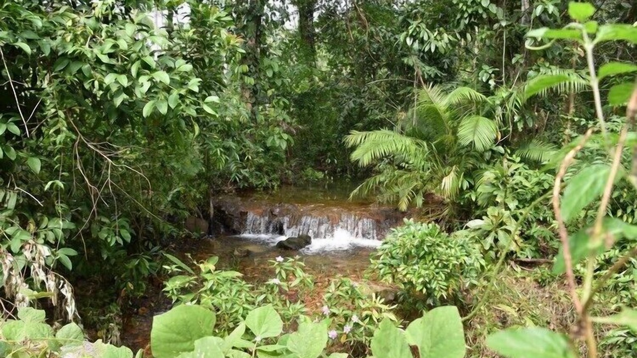 Photo of Outdoor in Ko Kood