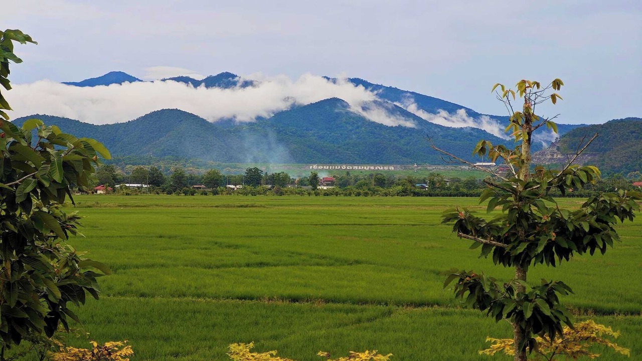 Photo of Others in Cho Lae