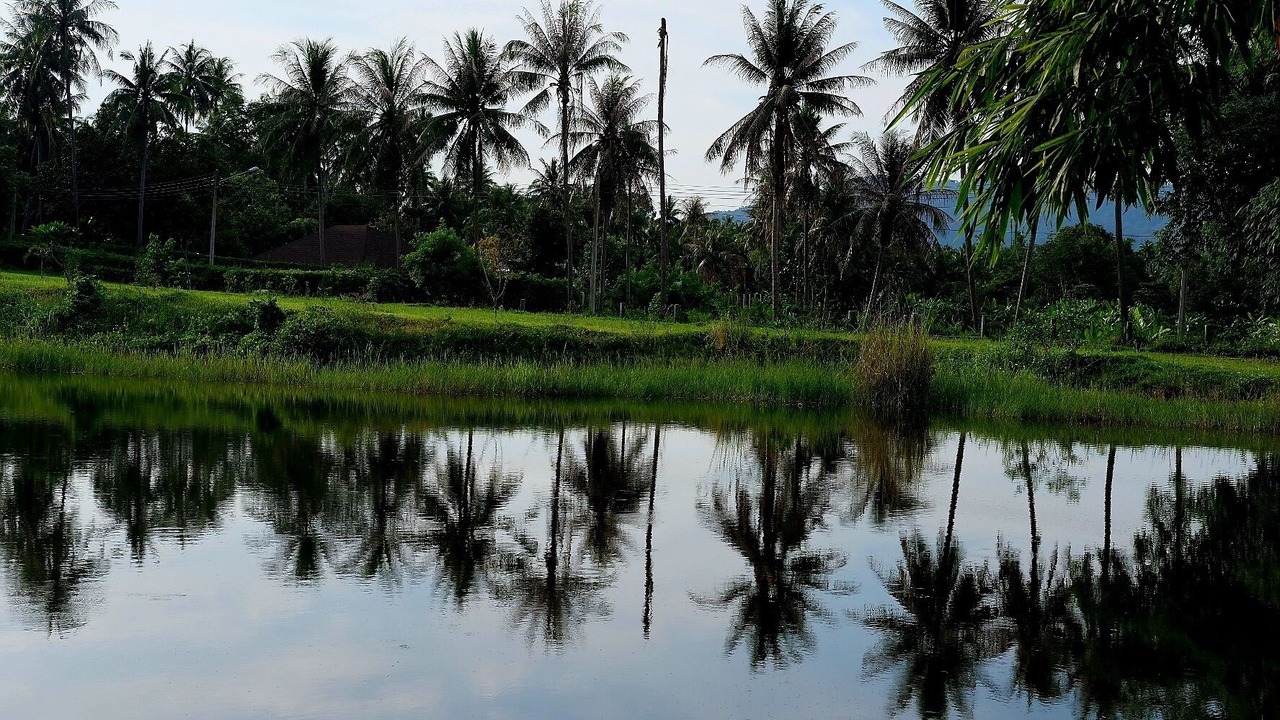 Photo of Outdoor in Si Racha