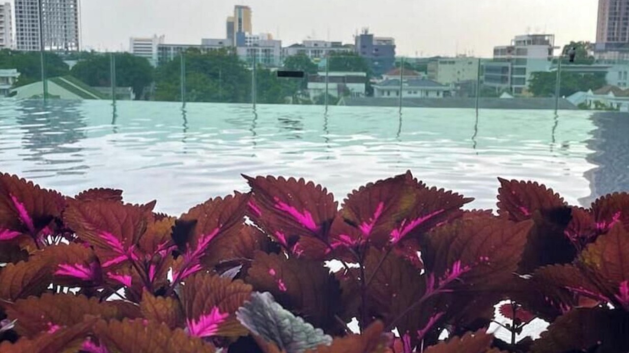 Photo of Outdoor in Sukhumvit