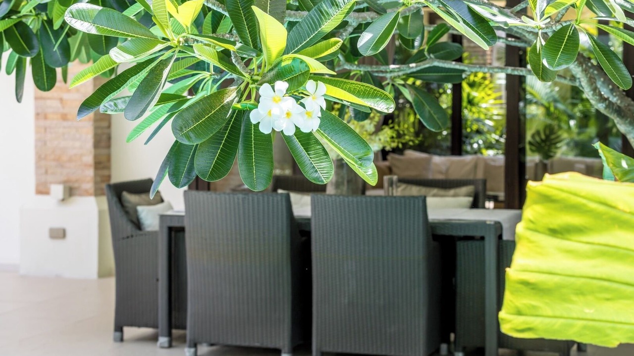 Photo of Outdoor in Maret