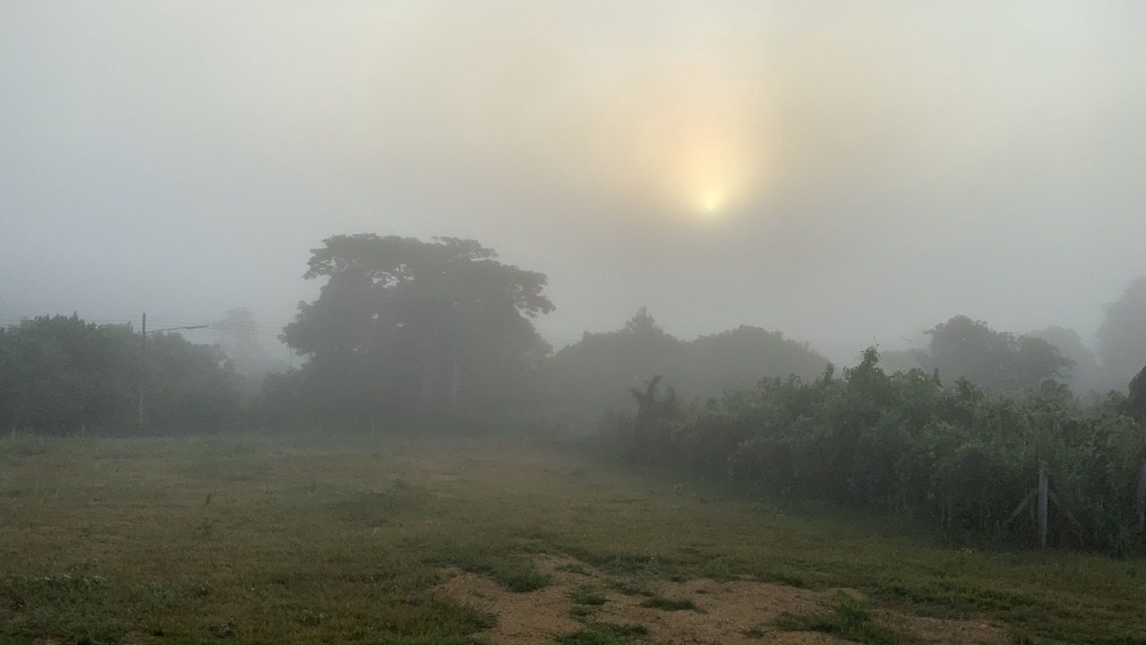 Photo of Outdoor in Phan