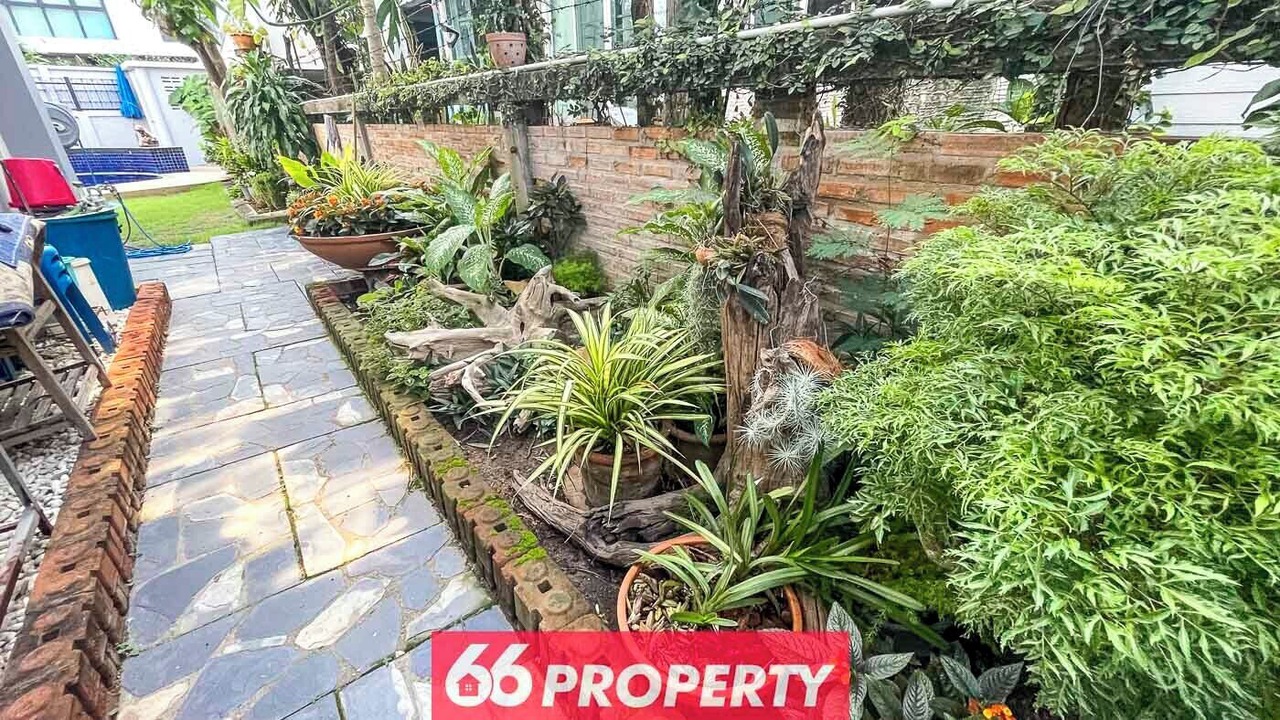 Photo of Outdoor in Chang Phueak