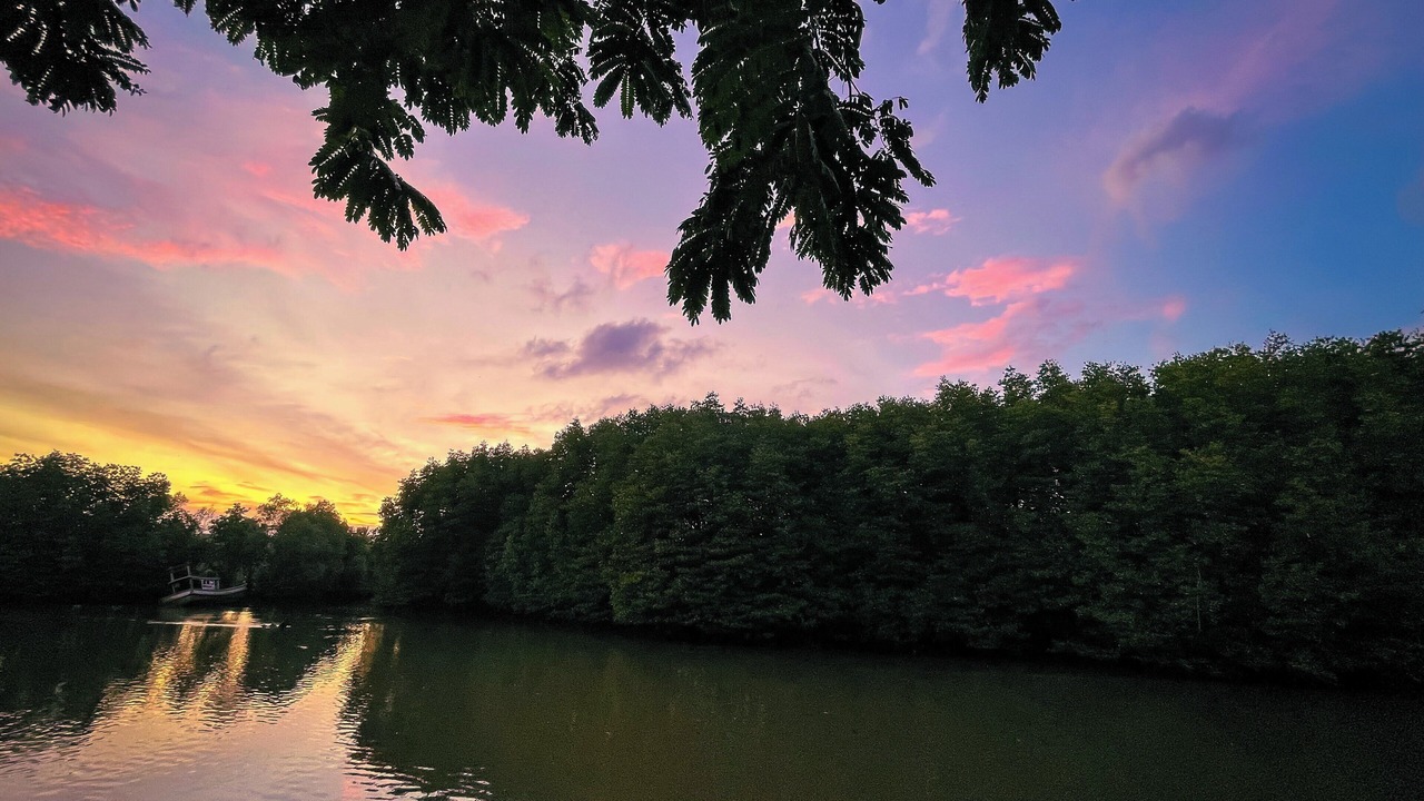 Photo of Outdoor in Saphli