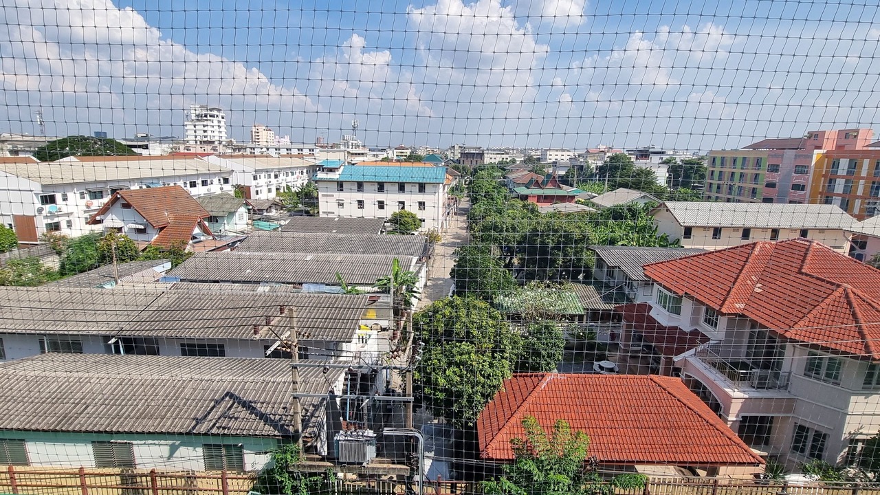 Photo of Outdoor in Suan Luang