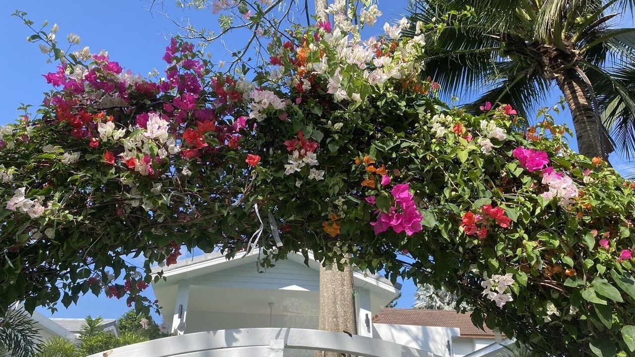 Photo of Outdoor in Ko Pha-ngan