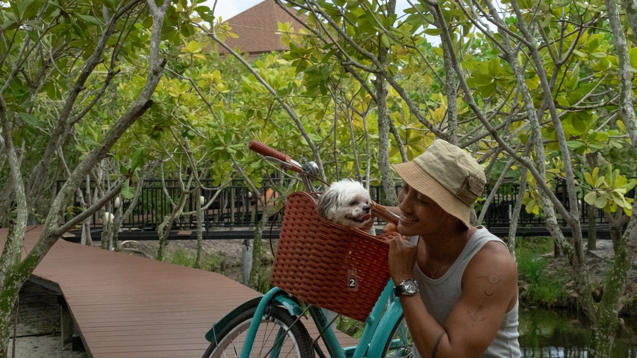 Photo of Outdoor in Chalong