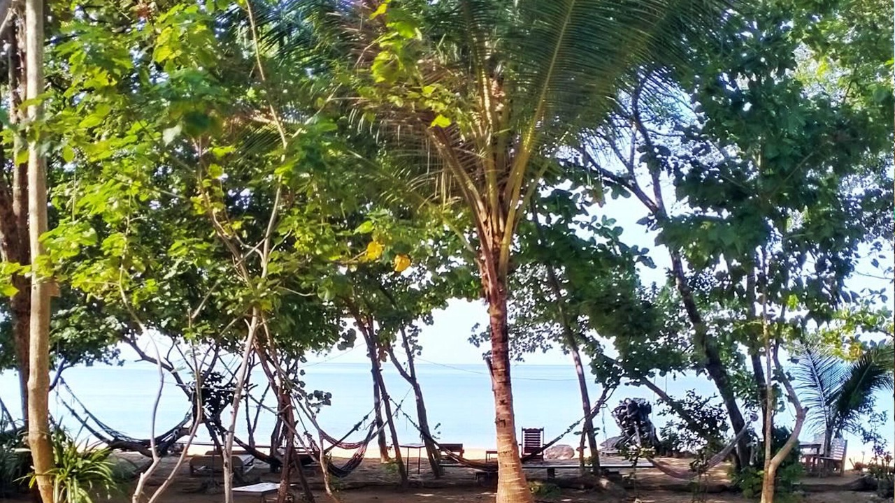 Photo of Others in Nuea Khlong