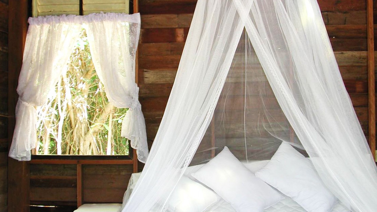 Photo of Bedroom in Nuea Khlong