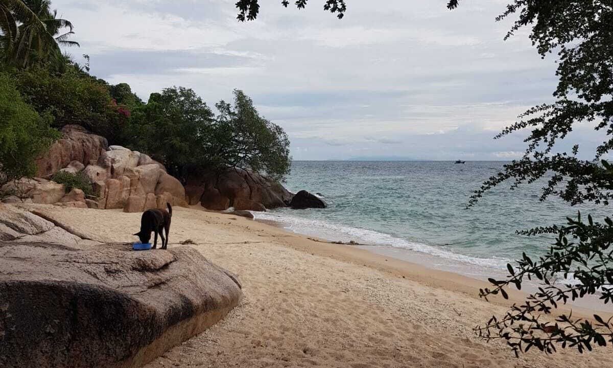 Photo of Others in Koh Tao