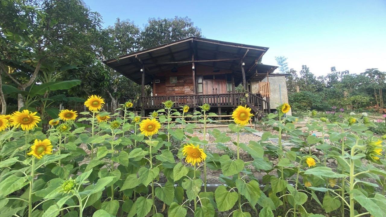 Photo of Livingroom in Chiang Dao