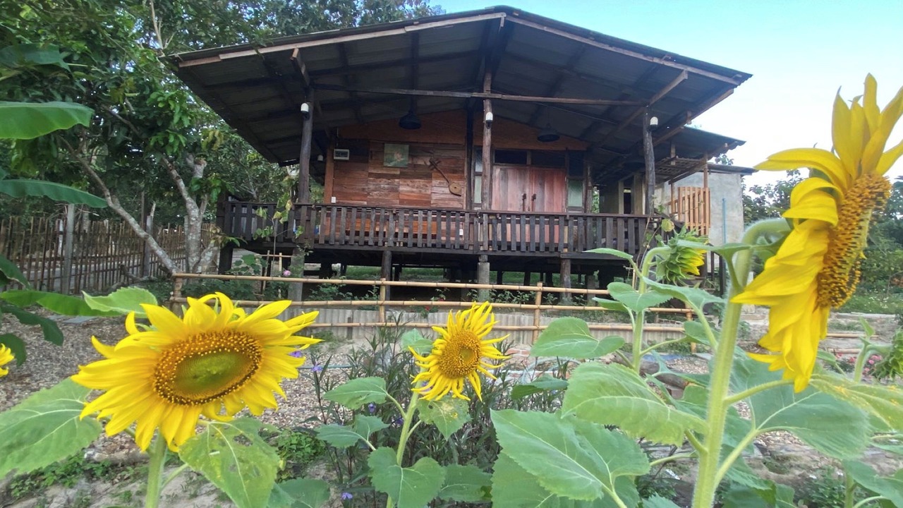 Photo of Livingroom in Chiang Dao