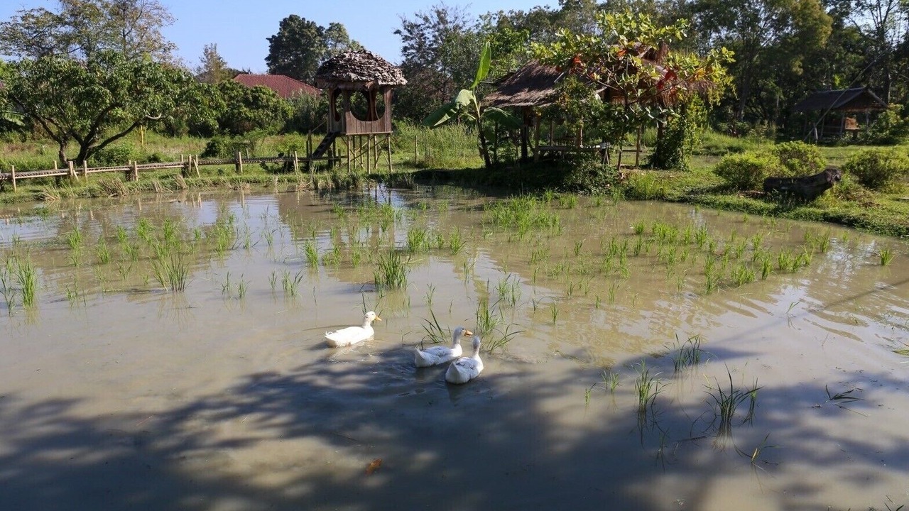 Photo of Outdoor in Tha Sala