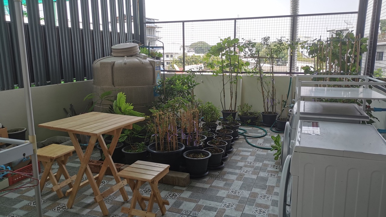 Photo of Outdoor in Wat Ket