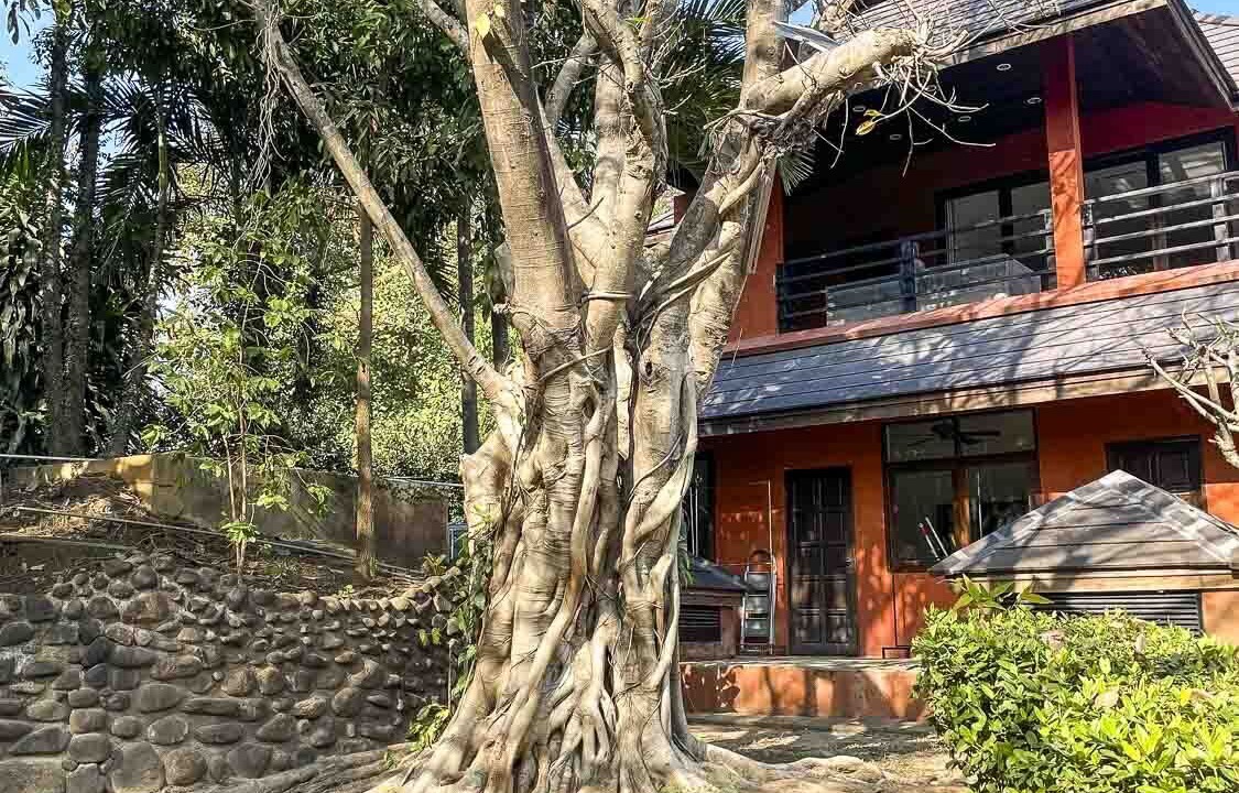 Photo of Outdoor in Old City