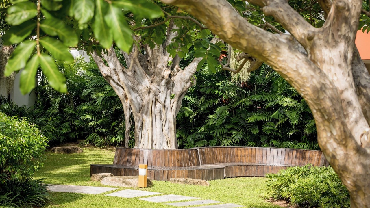 Photo of Outdoor in Moo 5