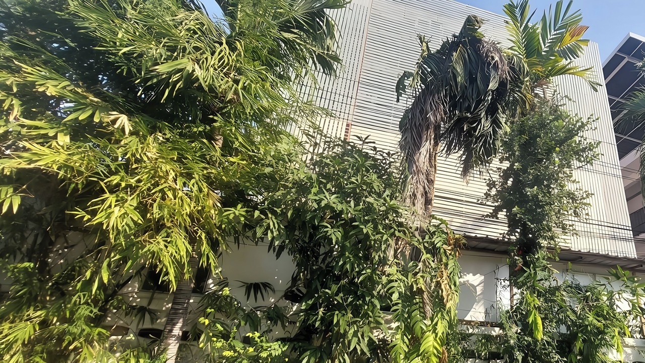 Photo of Outdoor in Dok Mai