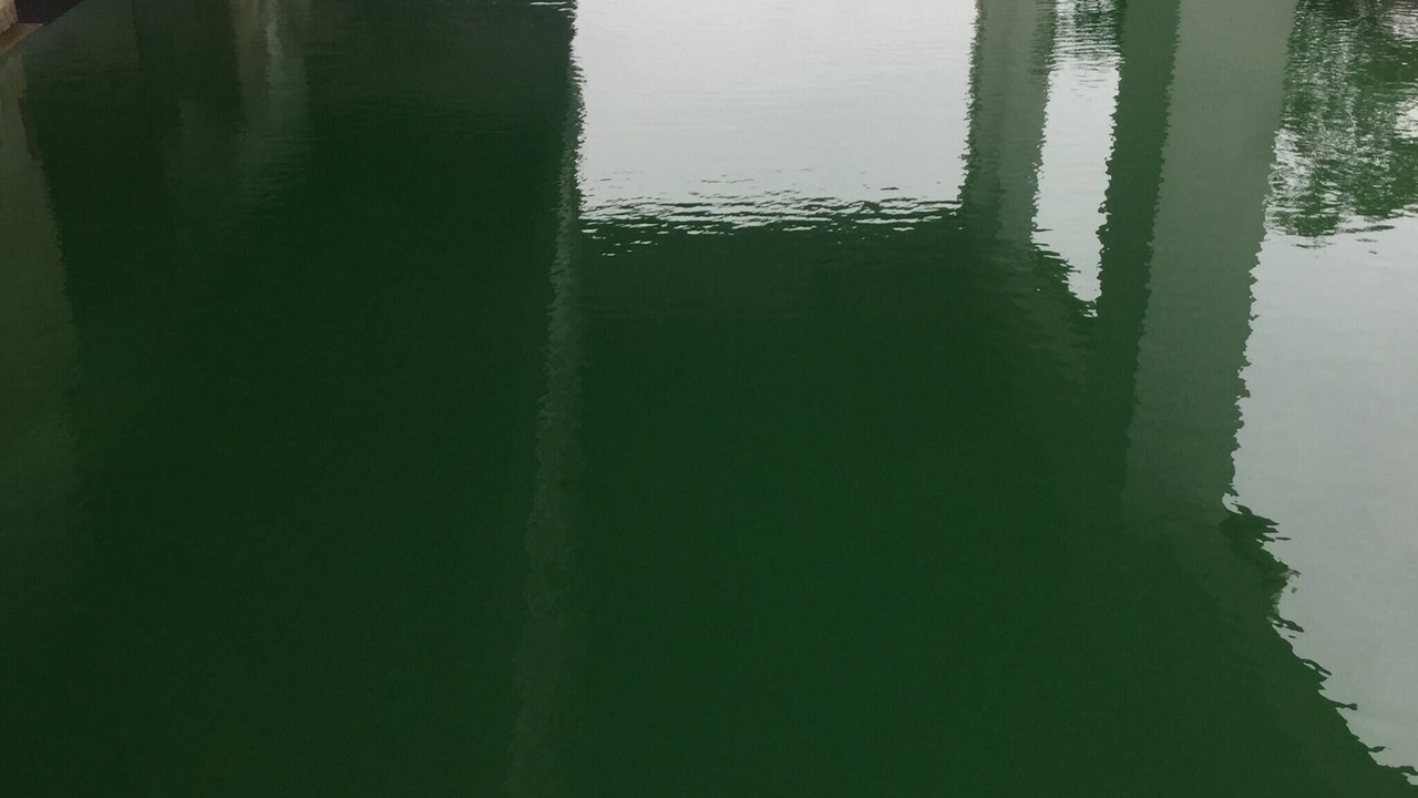 Photo of Outdoor in Khlong Tan