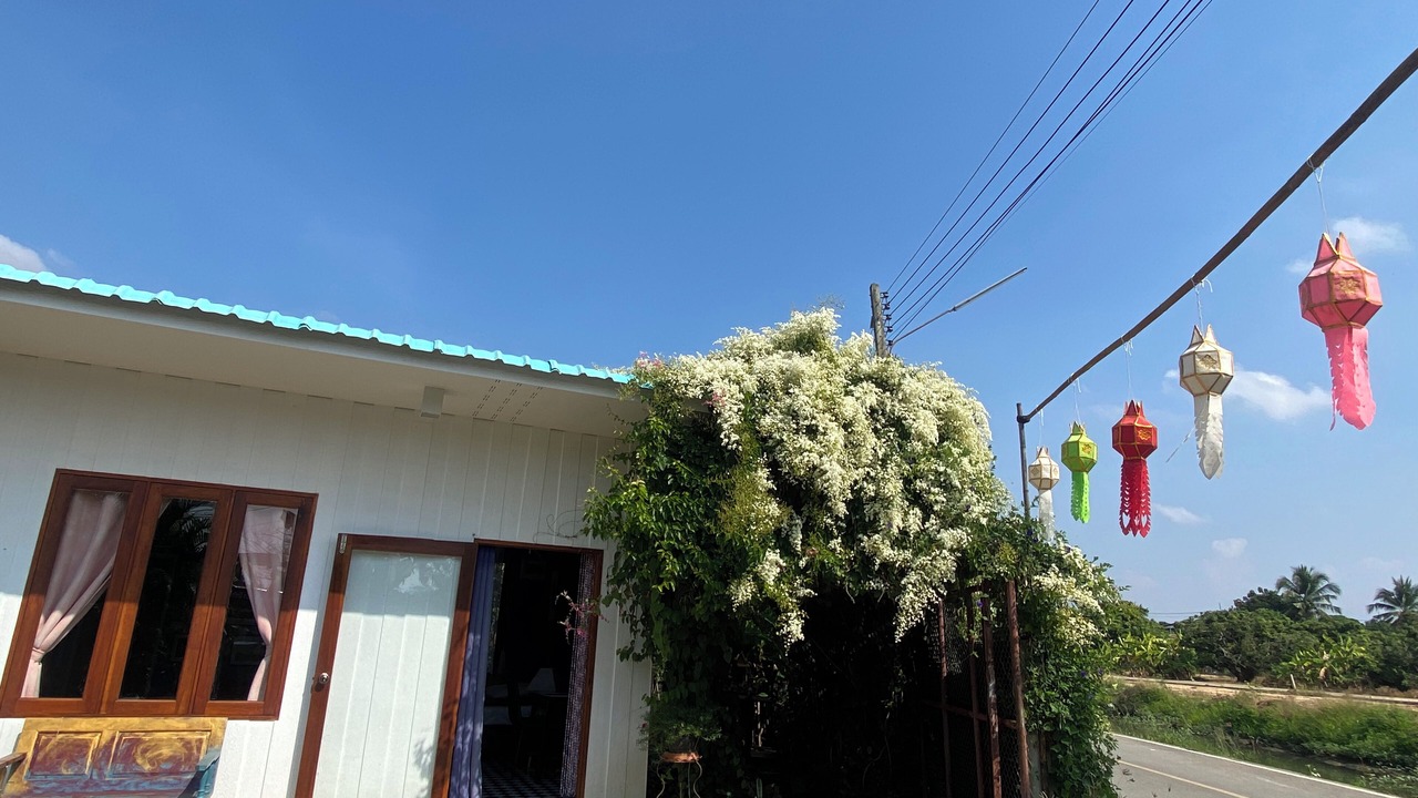 Photo of Outdoor in Saraphi