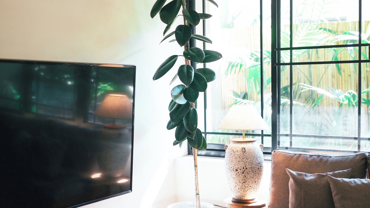 Photo of Livingroom in Nimman