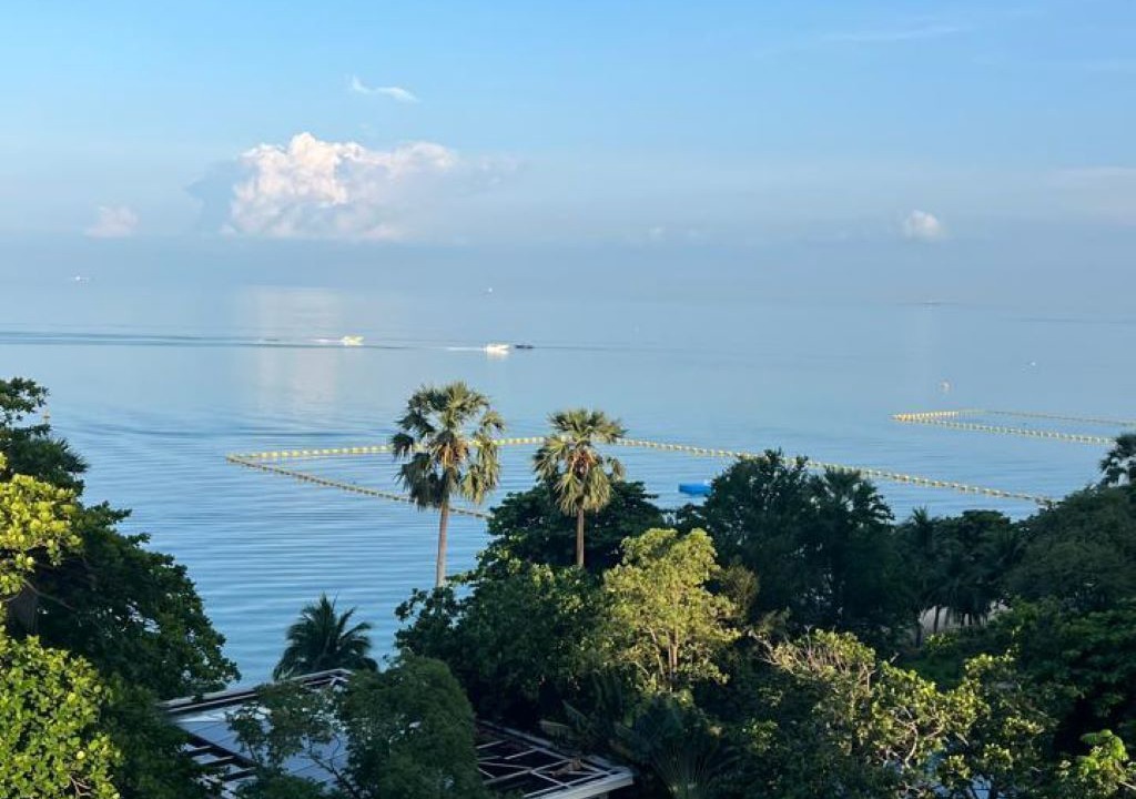 Photo of Others in North Pattaya