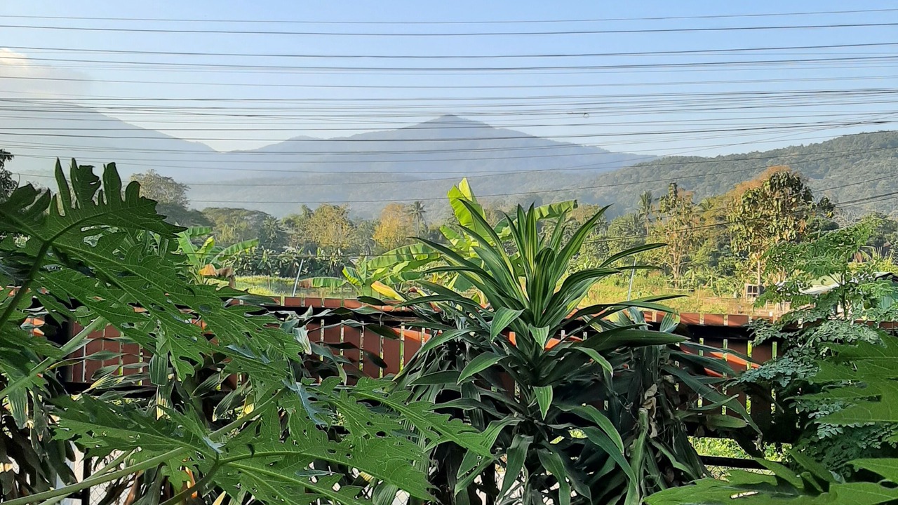 Photo of Others in Mae Rim
