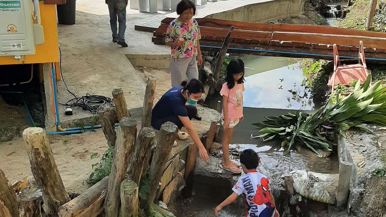 Photo of Others in Mae Rim
