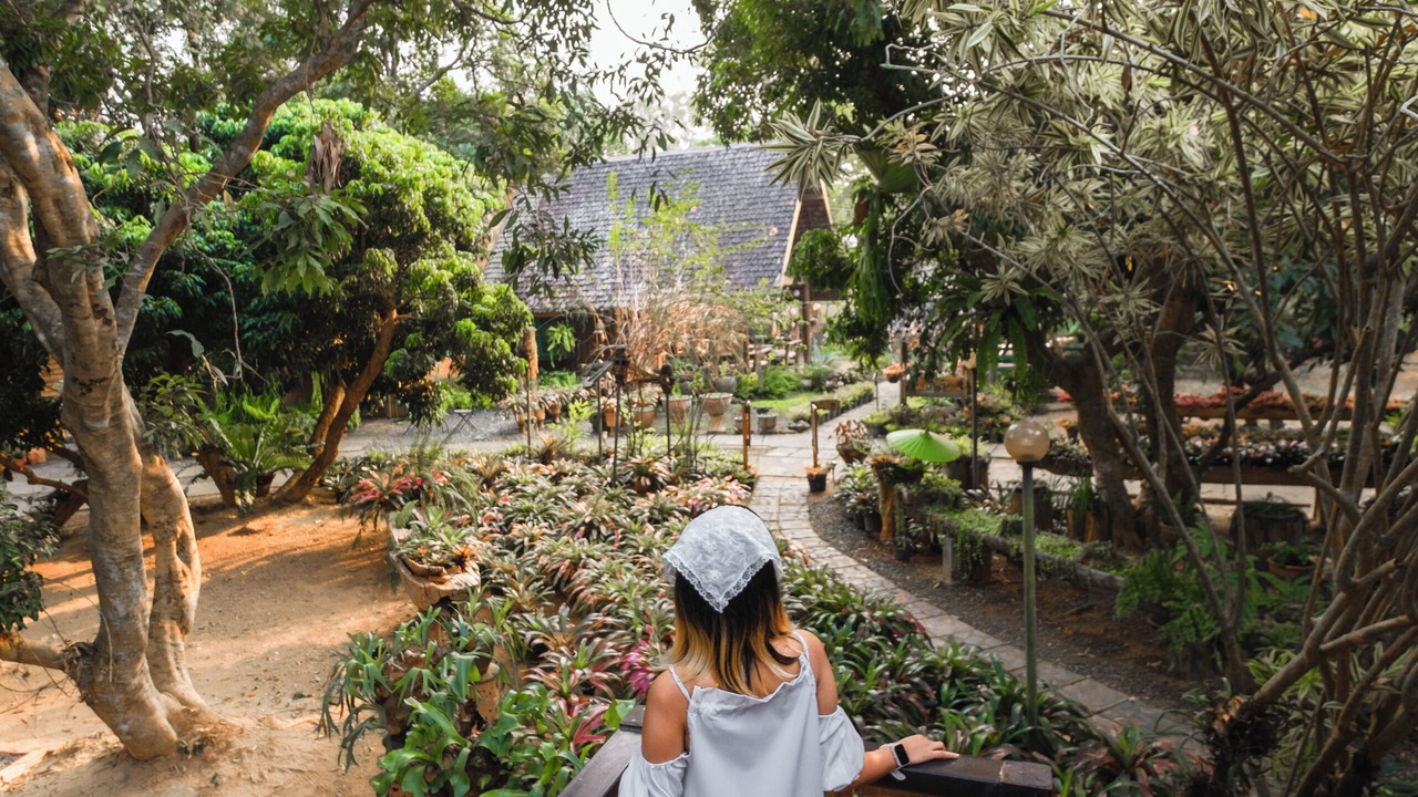 Photo of Outdoor in San Sai